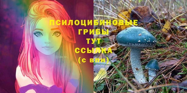 тгк Бугульма