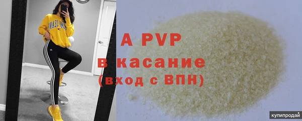 дживик Богданович