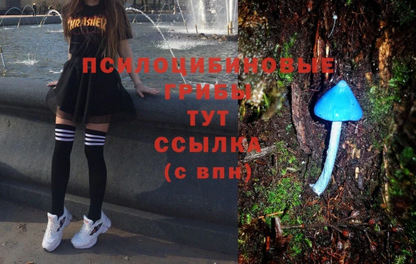 spice Бронницы