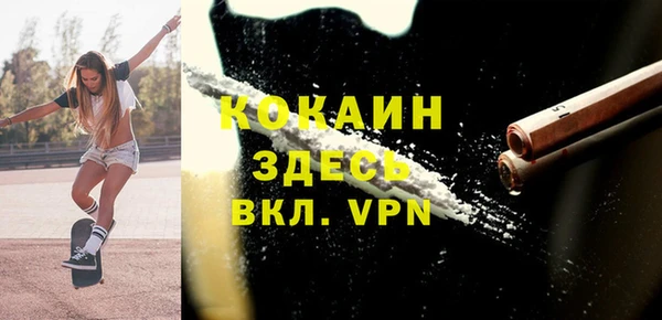 mdpv Бородино