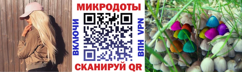 Псилоцибиновые грибы мухоморы  наркота  Приволжский 